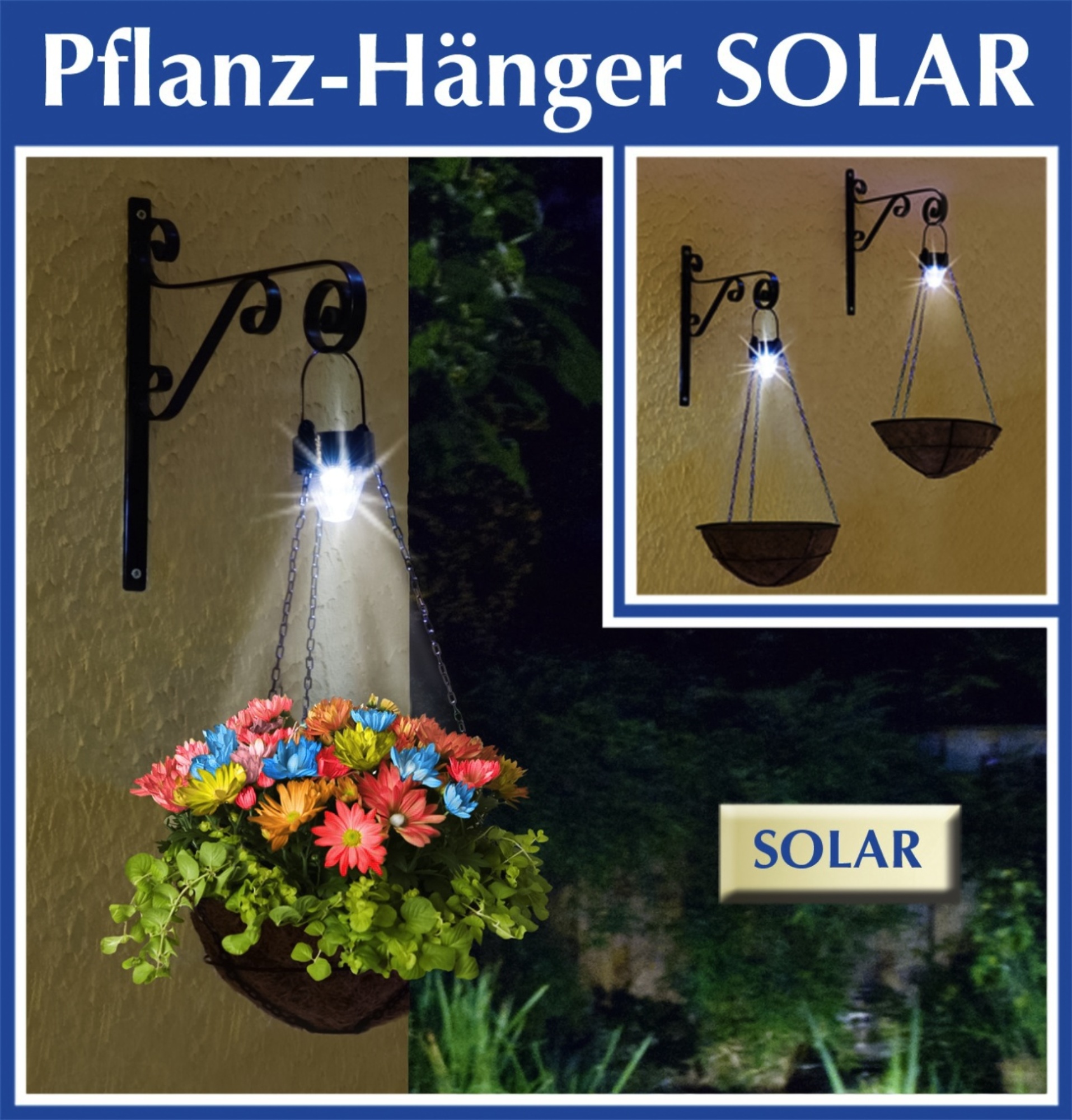 blumenampel mit licht